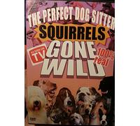 Squirrels Gone Wild