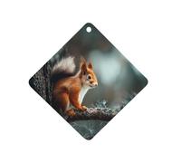 Squirrels in The Tree Car Air Freshener Aromatherapy Tablets Hanging Scented Cards for Rooms Bathrooms Wardrobe Rhombus