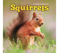 Squirrels Square Wall Sunday Start Calen