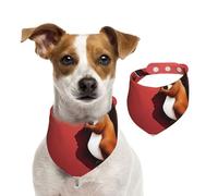Squirrels Under The Red City Wall Pet Scarf Dog Bandanas Spring Summer Soft Cotton Puppy Scarfs Adjustable Accessories for Small Medium Large Girl Boy Pup Medium