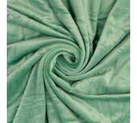 Squish Cuddle Fleece Velour Fabric Material Light Green Sample