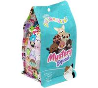 Squishmallows 5 inch Desert Squad Assorted Blind Bag Mini Plush, Brown