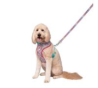 Squishmallows Original Squad Goals Pet Harness (Large) - Official Jazwares Pets Walking Apparel for Dogs