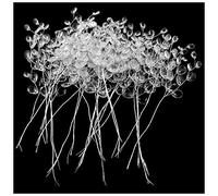 SQXBK Artificial Flower Bouquet 25PCS White Plastic Artificial Flower Stem with Crystal Acrylic Bead Drop for Wedding Party Home Decor 15cm Crystal Bud Branches