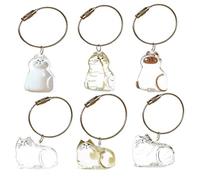 SQYDFDC 2 Pack Cat Hair Storage Keychains - Memorial Gifts for Pet Lovers, Clear Cat Storage Bottle Pendant, Pet Memorial Jewelry (6 Types) NO.4 and NO.6 2pcs