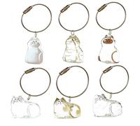 SQYDFDC 2 pieces cat storage key chain - Memorial gift for pet lovers, transparent cat storage bottle pendant, pet memorial jewelry NO.2 and NO.5 2pcs