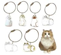 SQYDFDC 2pcs cat hair box, cute cat hair collector keychain, keychain for pet fur series and pet lover souvenirs (6 types to choose from) NO.2 and NO.6 2pcs