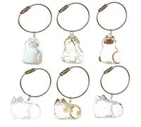 SQYDFDC 2pcs cat hair commemorative pendant, good-looking keychain, pet hair storage bottle, transparent box NO.1 and NO.6 2pcs