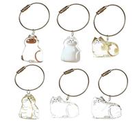 SQYDFDC 2pcs cat hair key chain, pet hair box bottle souvenir, cat fur souvenir, pet lover's beloved gift NO.1 and NO.5 2pcs