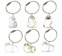 SQYDFDC 2pcs transparent cat cassette with keychain, cute pet memorial gift, bag hanging NO.4 and NO.6 2pcs