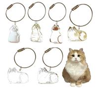 SQYDFDC Transparent collection of cat hair keychain, cat fur life pendant, DIY pet fur series, pet fur feeder (6 types to choose from) NO.2 andNO.4 2pcs