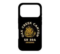 SR 89A Arizona Oak Cr anyon Motorcycle Design Case for iPhone 17 Pro