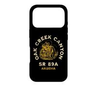 SR 89A Arizona Oak Cr anyon Motorcycle Distressed Design Case for iPhone 17 Pro