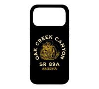 SR 89A Arizona Oak Cr anyon Motorcycle Distressed Design Case for iPhone 17 Pro Max