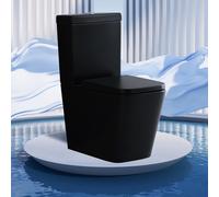 SR-Toil-003MB-B1 Black Rimless Close-Coupled Toilet with Soft-Close Seat, Dual-Flush 6/3L, Back-to-Wall, Matte Black Ceramic