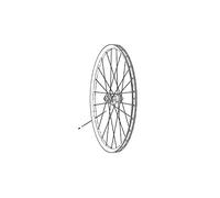 SRAM Spokes & Nipples Roam 50 27.5 Straight-Pull External Black 281MM 3Pcs