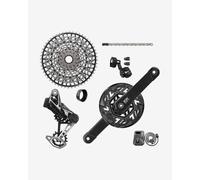 Sram Xx T-type Eagle E-mtb Bosch Transmission Axs Groupset Silver 165 mm 36t / 10-52t