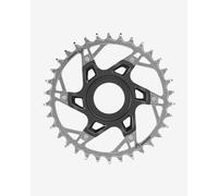 SRAM XX T-Type Direct Mount 12V Chainring - 34