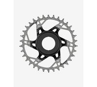 Sram Xx T-type Eagle Shimano Dm Chainring Silver 34t