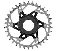 Sram Xx T-type Eagle Brose Dm Chainring Silver 36t