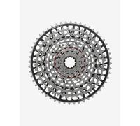 Sram Xs-1297 T-type Eagle Cassette Silver 12s / 10-52t