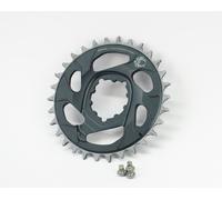 SRAM X-Sync 2 Eagle Offset 4 mm Direct Mount - Chainring Lunar / Polar Grey 30T