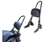 Sresk Detachable Rear Passenger Sissy Bar Upright Backrest W/Cushion Pad for Harley Sportster XL XLH 883 1200R 1200C 1200S 2004-Up with Docking Hardware Latch Clip (Gloss Black)