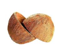 Sri Care® Natural Coconut Bowl Halves Coconut Shell for Handicraft or pet Feeder and Candle Maker and Christmas and Halloween Decorations (2 with Fiber)