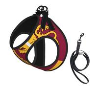 Sri Lanka Flag Print Small Dog Harness And Leash Set, Adjustable Soft Vest With 360° Reflective Straps For Cats Puppy