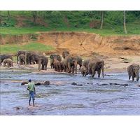 Sri Lanka - The Emerald Isle