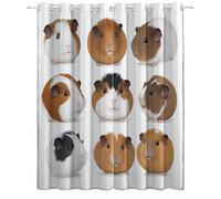 Srigzcaly Animal Guinea Pig Themed Print Blackout Curtains for Bedroom 84 inch Drop, Eyelet Curtains for Living Boys Room, Super Soft Thermal Insulated Window Drapes 2 Panels W36 x L84 Inch, White