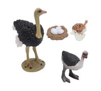 Srliya Ostrich Life Cycle Figure PVC Realistic Ostrich Figure Toy Animal Growth Cycle for Children