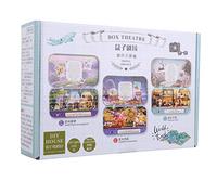 Srliya Wooden Doll House DIY Miniature Toy Kit, LED Light Decoration, Boys Girls Adults, English Instructions, Quality (Q-011 Starlight Garden)