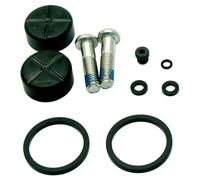 SRM REC KIT Piston PINZA Rival AXS D1 21MM