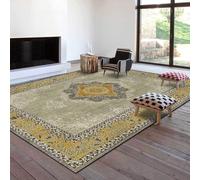 SRTJURFG Rectangle Area Rug 120 x 160 cm Room Indoor Non Slip Rug Home Décor for Entryway Bedroom Living Room, Soft Cozy Design modern retro yellow green