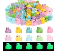Srumvoat 30PCS Mini Ducks, Luminous Mini Resins Ducks, 10 Colors Tiny Ducks, Little Resin Duck, for Aquarium Dollhouse Fairy Garden Landscape Decor or DIY Craft Gifts Party Favors Toys