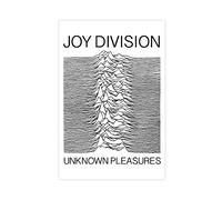 SRVOOZ Joy Division Unknown Pleasures Poster Canvas Poster Wall Art Decor Print Picture Paintings for Living Room Bedroom Decoration Unframe-style 16x24inch(40x60cm)