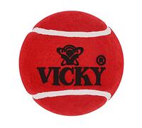SS Fielding Cone | Premium Quality Multi-color Training Cones | Agility Training & Sports Practice | Made with Durable PVC | Versatile Marker Cone for Cricket/Soccer & More | Set of 1 Cone