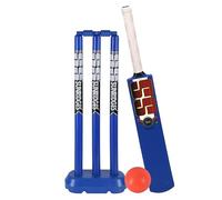 SS My First Swing Cricket kit (Blue Color)
