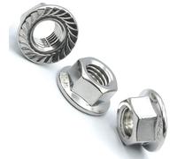 SS8 M10 (50 Pcs) Hex Flanged Nuts With Serrated Flange A2 Stainless Steel Din 6923 Flanged Nut