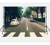 SSCSTS Music Band Backdrop for Photography, Rock and Roll Retro Music Street Background, Party Decor Supplies Photo Shooting Props (Polyester, 9x6ft)
