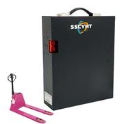 SSCYHT 48V LiFePO4 Battery MT18C/MT20C Electric Forklifts Backup Battery