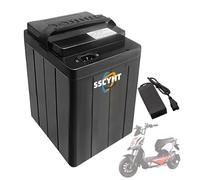 SSCYHT 60V30AH, 48V 30AH Lithium Battery 72V/60V 20AH 25AH 30AH Replacement Scooter Motorcycle Battery with Charger and BMS for Tricycle Go Kart Motor Kit