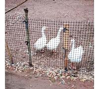 SSDDLZEQ 2.3mm Thick Chicken Duck Deer Poultry Mesh 1.18 Inch Mesh Plastic Garden Fence Roll Animal Fence Backyard/Fish Pond Temporary Fence(1.2x50m(4x164ft))