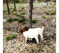 SSDDLZEQ Black Animal Fence, Black Dog Sheep Deer Temporary Fence, Plastic Garden Fence Roll Security Building Outdoor Mesh Fence(1x50m/3.3x164ft)