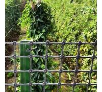 SSDDLZEQ Black Chicken Wire Mesh Rolls, Garden Fencing, Secure Architectural Barriers For Plants, Vegetables And Flowers, Plastic Rigid Fabrics(1x50m(3.3x164ft))