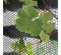 SSDDLZEQ Black Large Garden Mesh Flexible Safety Fence Plastic Mesh Fence Roll 40/50/80/100/120/150cm Wide Children's Balcony Fence(1.2x10m(3.9x32ft))