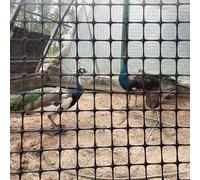 SSDDLZEQ Peacock Mesh Square Fence Mesh, Garden Chicken And Rabbit Fence, Lightweight Safety Plastic Fence For Patio Snow Pets(1.2x50m/3.94x164ft)