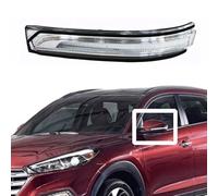 SSFENG Wing Mirror Indicator for Hyundai Tucson 2015 2016 2017 2018 2019, Mirror Turn Signals Rearview Side Mirror Indicators Lamps Replacement 87613D3000 87623D3000,left
