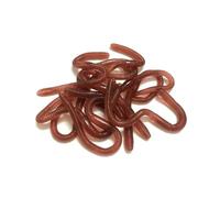 SSKHE 10 Pcs Artificial Fake Earthworms, Realistic Fake Worms Scary Props, Worm Prank Trick, Halloween Decoration April Fools Day Party Fishing